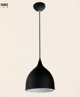 Celling Lamp Big 01-4911