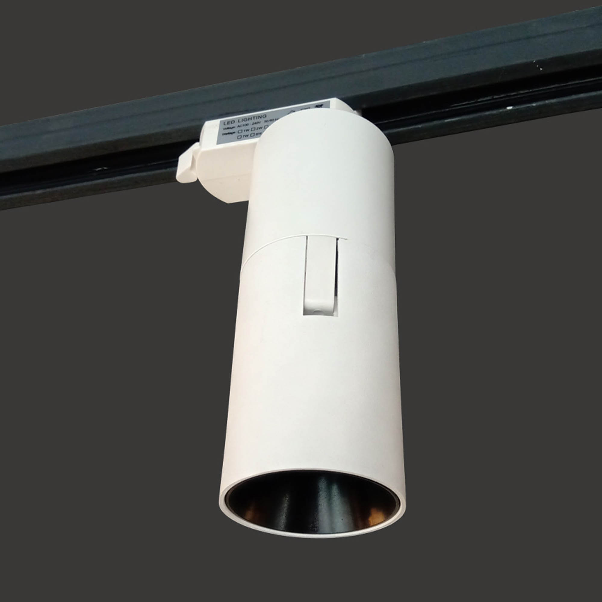 Track Light Fold 01-4903