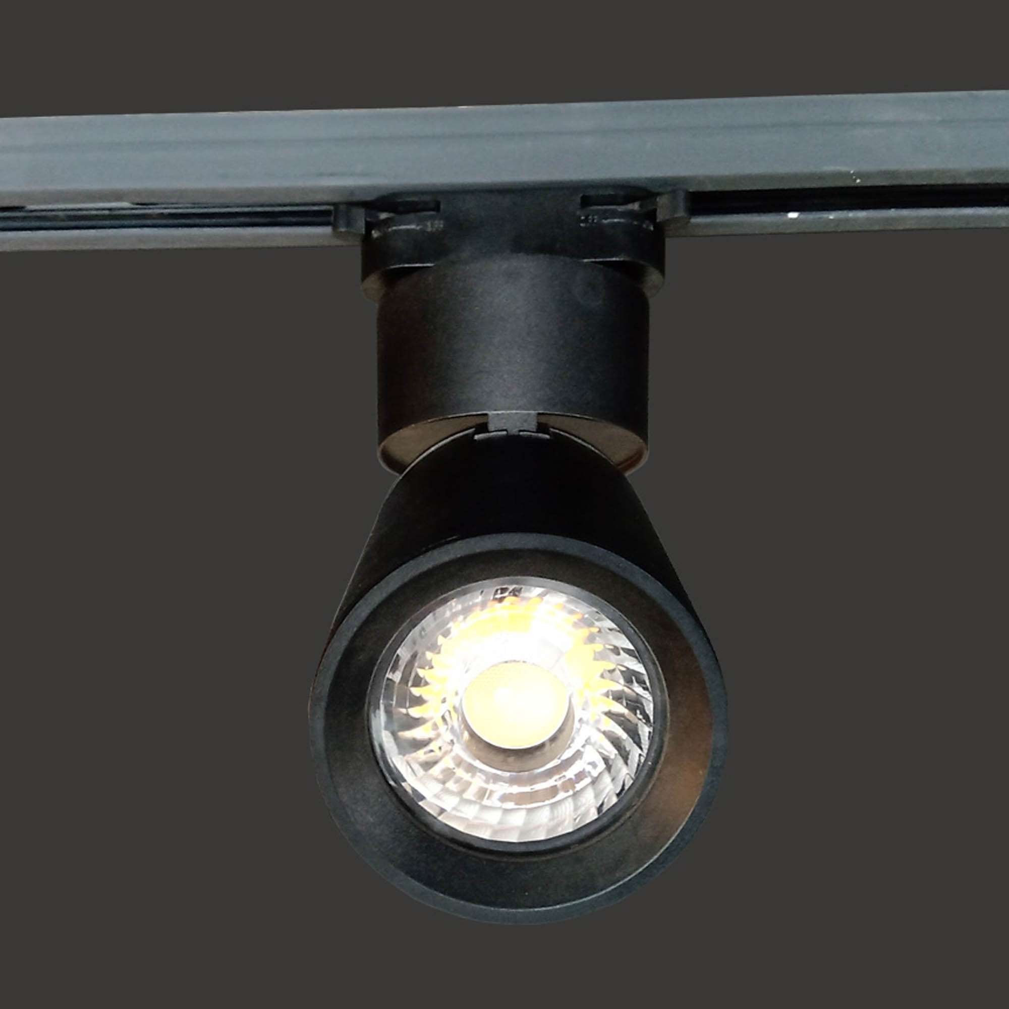 Track Light Fold 01-4903