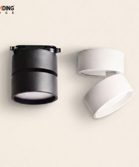 Ceiling Light | 01-4931