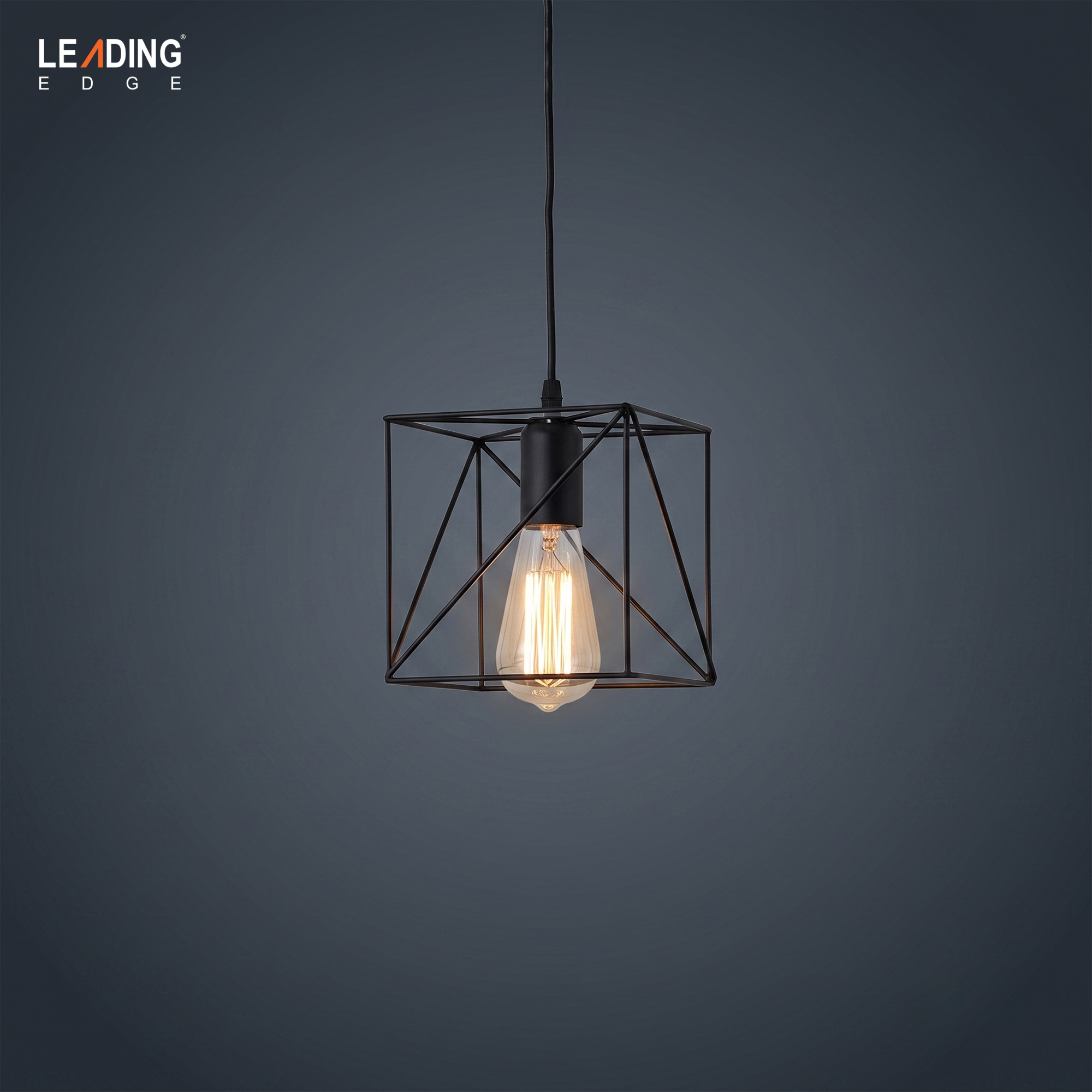 4976 Hanging Light Black | 01-4976