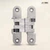 Concealed Hinges SS 01-3701