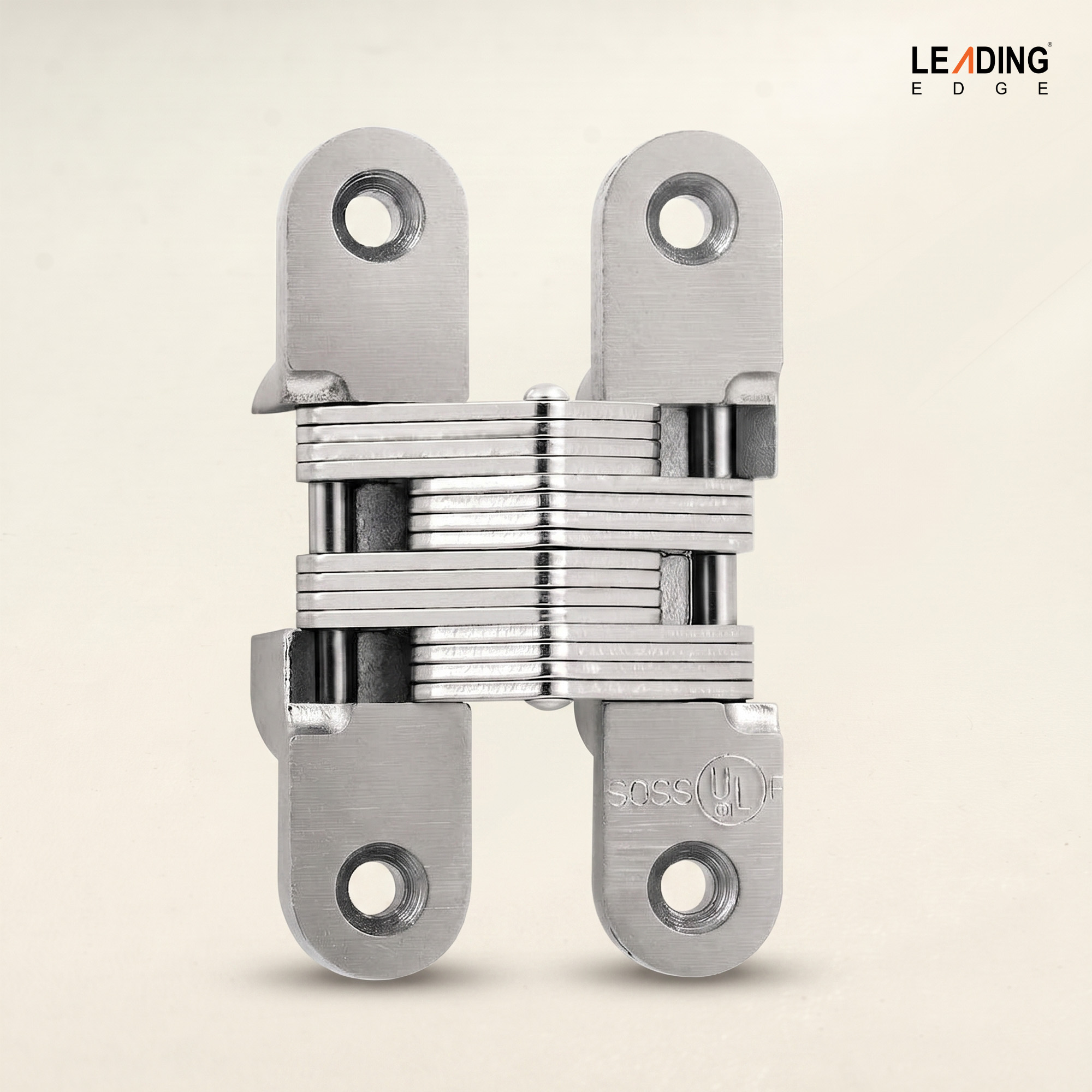 Concealed Hinges SS 01-3701